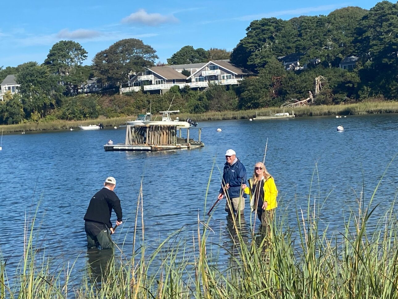 Three people are standing in shallow water near the shore of a lake or pond, with a house and trees visible in the background, observing a person in waders.