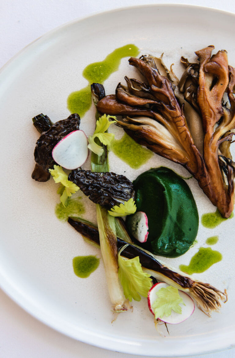 Gourmet meal on a white dish.