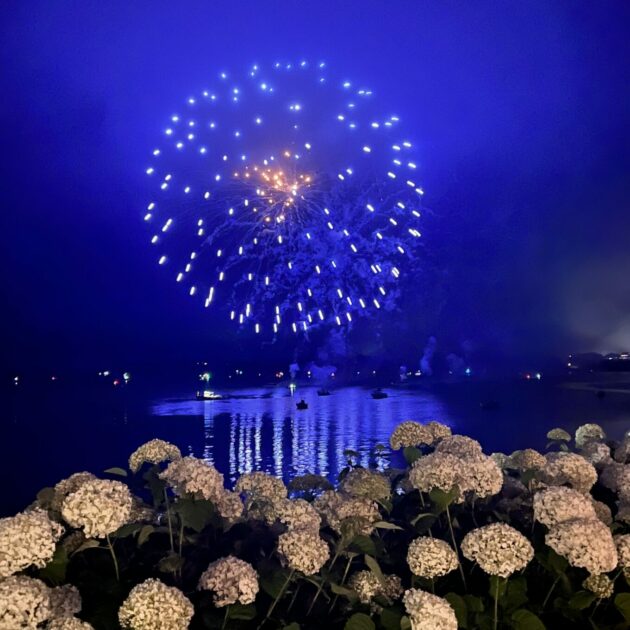 A display of blue and gold fireworks illuminates the night sky over a body of water, with hydrangea flowers in the foreground.