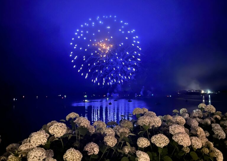 A display of blue and gold fireworks illuminates the night sky over a body of water, with hydrangea flowers in the foreground.